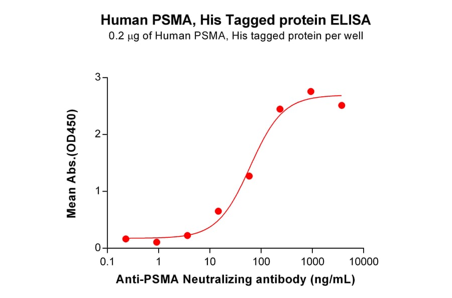 ELISA - Recombinant Human PSMA Protein (6×His Tag) (A318193) - Antibodies.com