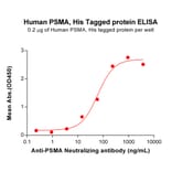 ELISA - Recombinant Human PSMA Protein (6×His Tag) (A318193) - Antibodies.com