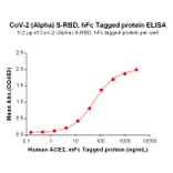 ELISA - Recombinant SARS-CoV-2 Spike Glycoprotein RBD (Alpha B.1.1.7 Variant) (Fc Tag) (A318195) - Antibodies.com
