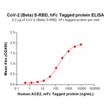 ELISA - Recombinant SARS-CoV-2 Spike Glycoprotein RBD (Beta B.1.351 Variant) (Fc Tag) (A318199) - Antibodies.com