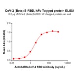 ELISA - Recombinant SARS-CoV-2 Spike Glycoprotein RBD (Beta B.1.351 Variant) (Fc Tag) (A318199) - Antibodies.com