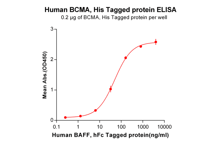 ELISA - Recombinant Human BCMA Protein (6×His Tag) (A318224) - Antibodies.com