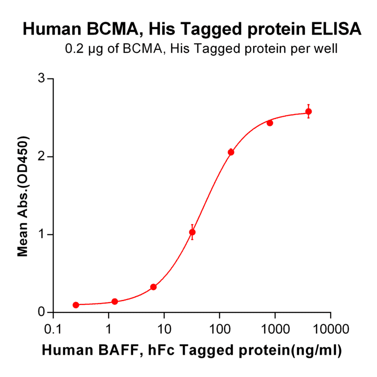 ELISA - Recombinant Human BCMA Protein (6×His Tag) (A318224) - Antibodies.com