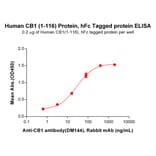 ELISA - Recombinant Human Cannabinoid Receptor I Protein (Fc Tag) (A318228) - Antibodies.com