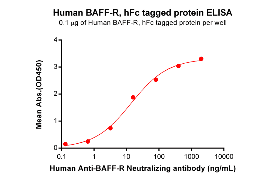 ELISA - Recombinant Human BAFF-R Protein (Fc Tag) (A318232) - Antibodies.com