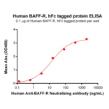 ELISA - Recombinant Human BAFF-R Protein (Fc Tag) (A318232) - Antibodies.com