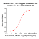 ELISA - Recombinant Human CD27 Protein (Fc Tag) (A318253) - Antibodies.com