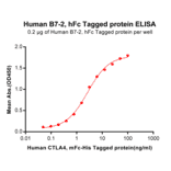 ELISA - Recombinant Human CD86 Protein (Fc Tag) (A318254) - Antibodies.com