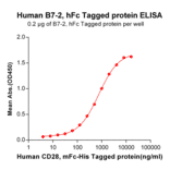 ELISA - Recombinant Human CD86 Protein (Fc Tag) (A318254) - Antibodies.com