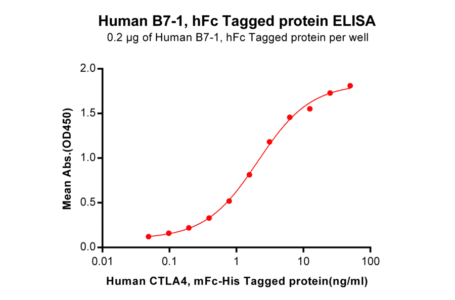 ELISA - Recombinant Human CD80 Protein (Fc Tag) (A318255) - Antibodies.com