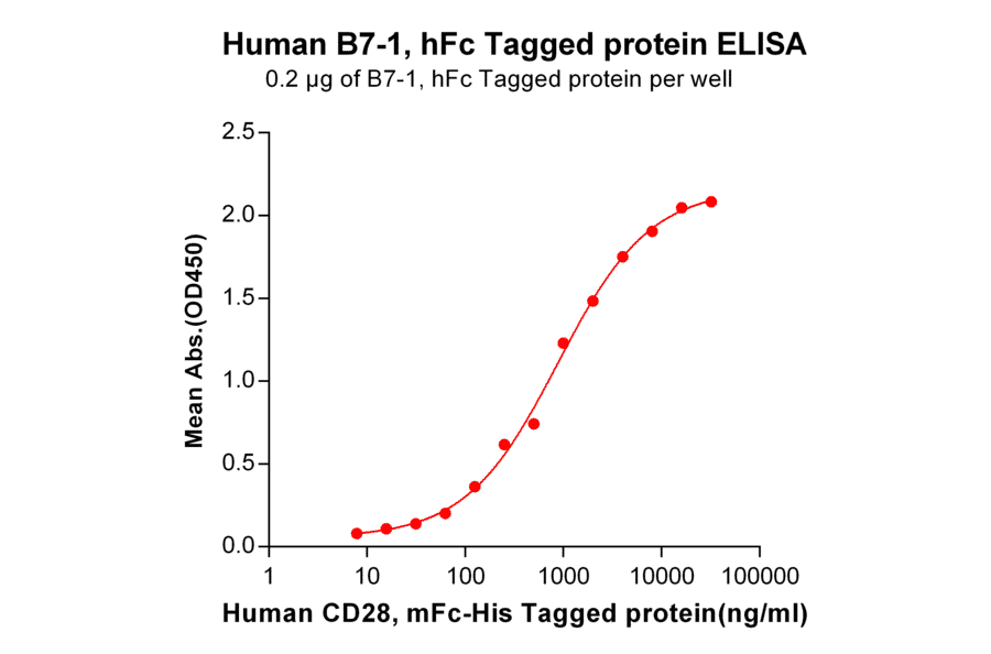 ELISA - Recombinant Human CD80 Protein (Fc Tag) (A318255) - Antibodies.com