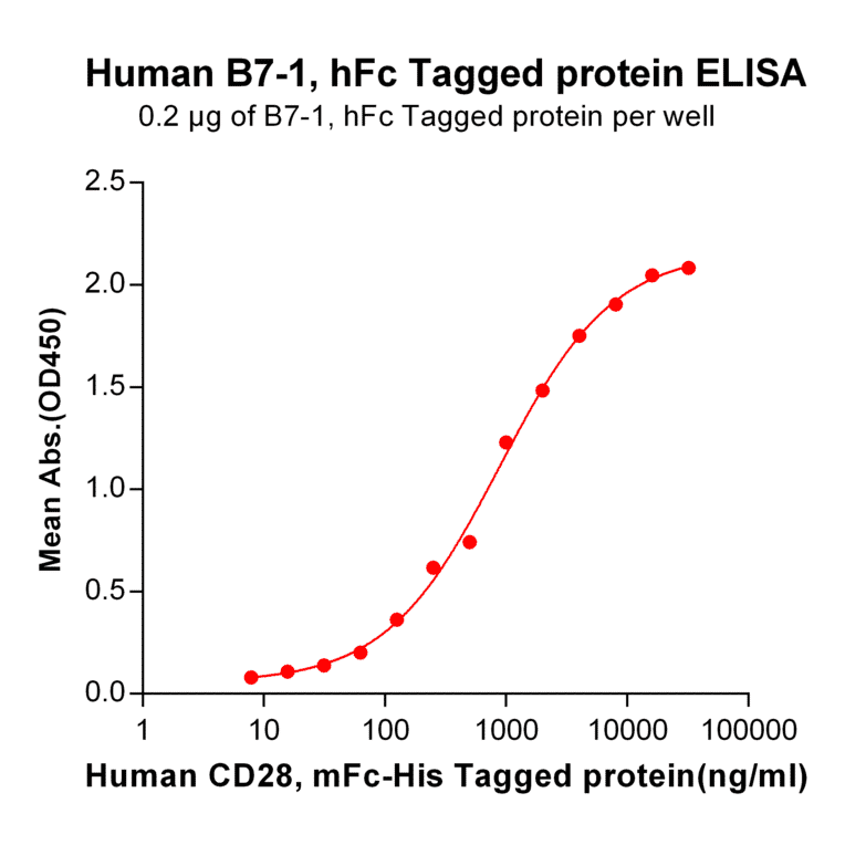 ELISA - Recombinant Human CD80 Protein (Fc Tag) (A318255) - Antibodies.com