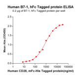 ELISA - Recombinant Human CD80 Protein (Fc Tag) (A318255) - Antibodies.com