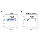 Flow Cytometry - Recombinant Human CD80 Protein (Fc Tag) (A318255) - Antibodies.com