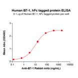 ELISA - Recombinant Human CD80 Protein (Fc Tag) (A318255) - Antibodies.com