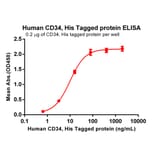 ELISA - Recombinant Human CD34 Protein (6×His Tag) (A318258) - Antibodies.com