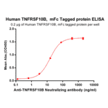 ELISA - Recombinant Human DR5 Protein (Fc Tag) (A318261) - Antibodies.com