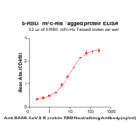 ELISA - Recombinant SARS-CoV-2 Spike Glycoprotein RBD Protein (Fc Chimera 6xHis Tag) (A318266) - Antibodies.com