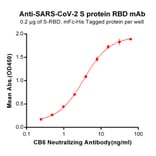 ELISA - Recombinant SARS-CoV-2 Spike Glycoprotein RBD Protein (Fc Chimera 6xHis Tag) (A318266) - Antibodies.com