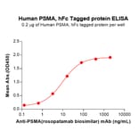 ELISA - Recombinant Human PSMA Protein (Fc Tag) (A318272) - Antibodies.com