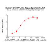 ELISA - Recombinant Human IL-13 Receptor alpha 1 Protein (6×His Tag) (A318283) - Antibodies.com