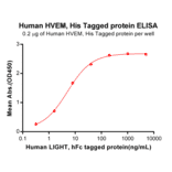 ELISA - Recombinant Human TNFRSF14/HVEM Protein (6×His Tag) (A318284) - Antibodies.com