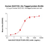 ELISA - Recombinant Human GC-C Protein (6×His Tag) (A318285) - Antibodies.com