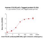 ELISA - Recombinant Human FOLR2 Protein (Fc Tag) (A318286) - Antibodies.com