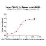 ELISA - Recombinant Human Folate Binding Protein/FBP Protein (6×His Tag) (A318287) - Antibodies.com