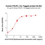 ELISA - Recombinant Human Folate Binding Protein/FBP Protein (6×His Tag) (A318287) - Antibodies.com