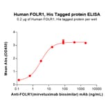 ELISA - Recombinant Human Folate Binding Protein/FBP Protein (6×His Tag) (A318287) - Antibodies.com