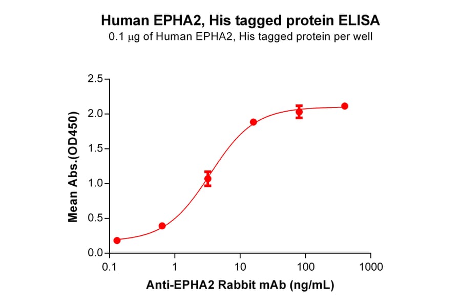 ELISA - Recombinant Human Eph Receptor A2 Protein (6×His Tag) (A318288) - Antibodies.com
