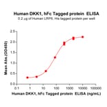ELISA - Recombinant Human DKK1 Protein (Fc Tag) (A318289) - Antibodies.com