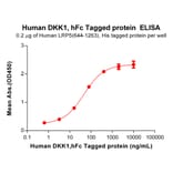 ELISA - Recombinant Human DKK1 Protein (Fc Tag) (A318289) - Antibodies.com