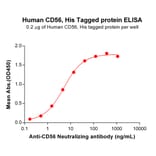 ELISA - Recombinant Human NCAM1 Protein (6×His Tag) (A318294) - Antibodies.com