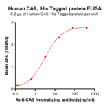ELISA - Recombinant Human Carbonic Anhydrase 9/CA9 Protein (6×His Tag) (A318300) - Antibodies.com