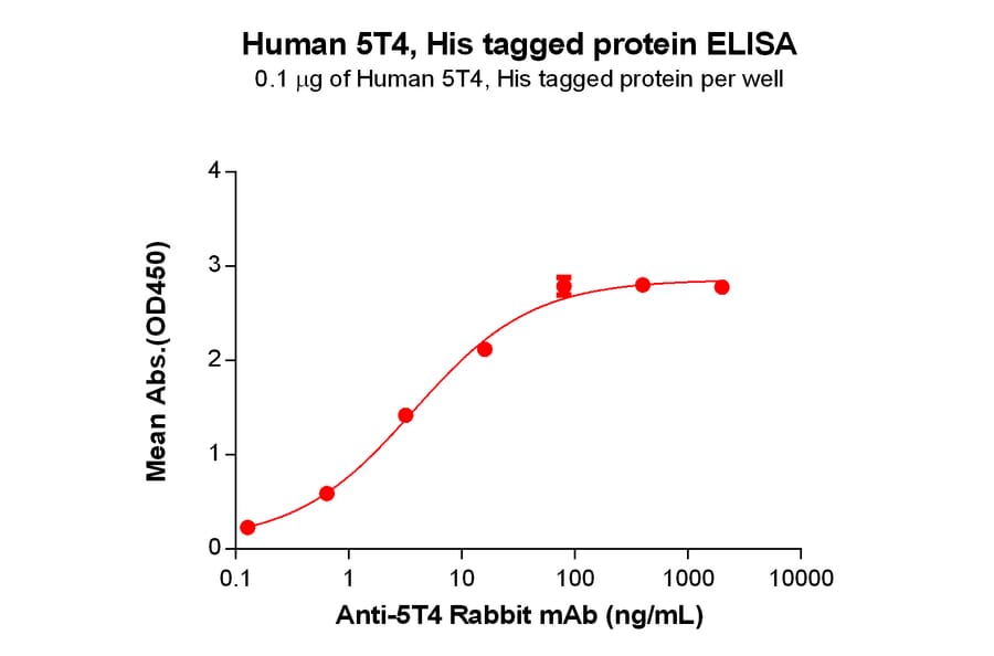 ELISA - Recombinant Human 5T4 Protein (6×His Tag) (A318304) - Antibodies.com