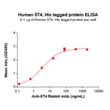 ELISA - Recombinant Human 5T4 Protein (6×His Tag) (A318304) - Antibodies.com