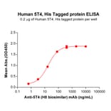 ELISA - Recombinant Human 5T4 Protein (6×His Tag) (A318304) - Antibodies.com