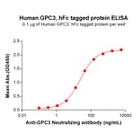 ELISA - Recombinant Human Glypican 3 Protein (Fc Tag) (A318306) - Antibodies.com