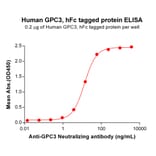 ELISA - Recombinant Human Glypican 3 Protein (Fc Tag) (A318306) - Antibodies.com