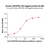 ELISA - Recombinant Human VEGF Receptor 2 Protein (6×His Tag) (A318314) - Antibodies.com