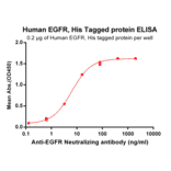 ELISA - Recombinant Human EGFR Protein (6×His Tag) (A318318) - Antibodies.com