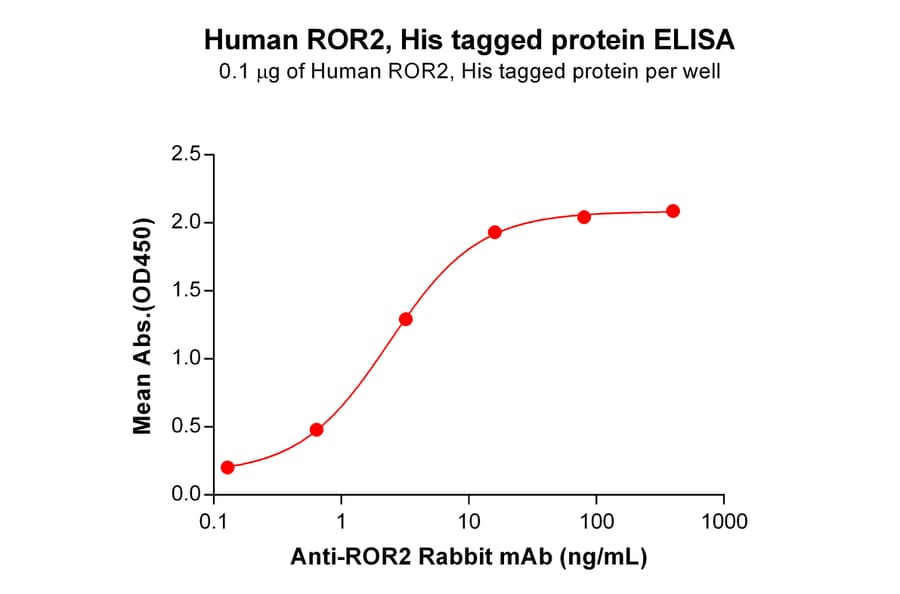 ELISA - Recombinant Human ROR2 Protein (6×His Tag) (A318320) - Antibodies.com