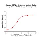 ELISA - Recombinant Human ROR2 Protein (6×His Tag) (A318320) - Antibodies.com