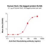 ELISA - Recombinant Human ErbB2/HER2 Protein (6×His Tag) (A318322) - Antibodies.com