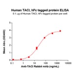 ELISA - Recombinant Human TACI Protein (Fc Tag) (A318323) - Antibodies.com