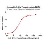 ELISA - Recombinant Human ErbB3/HER3 Protein (6×His Tag) (A318328) - Antibodies.com