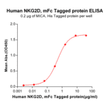 ELISA - Recombinant Human NKG2D Protein (Fc Tag) (A318336) - Antibodies.com