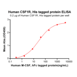 ELISA - Recombinant Human CSF-1-R Protein (6×His Tag) (A318346) - Antibodies.com